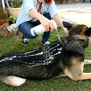 Vetericyn FoamCare® Pet Shampoo – Thick Coats